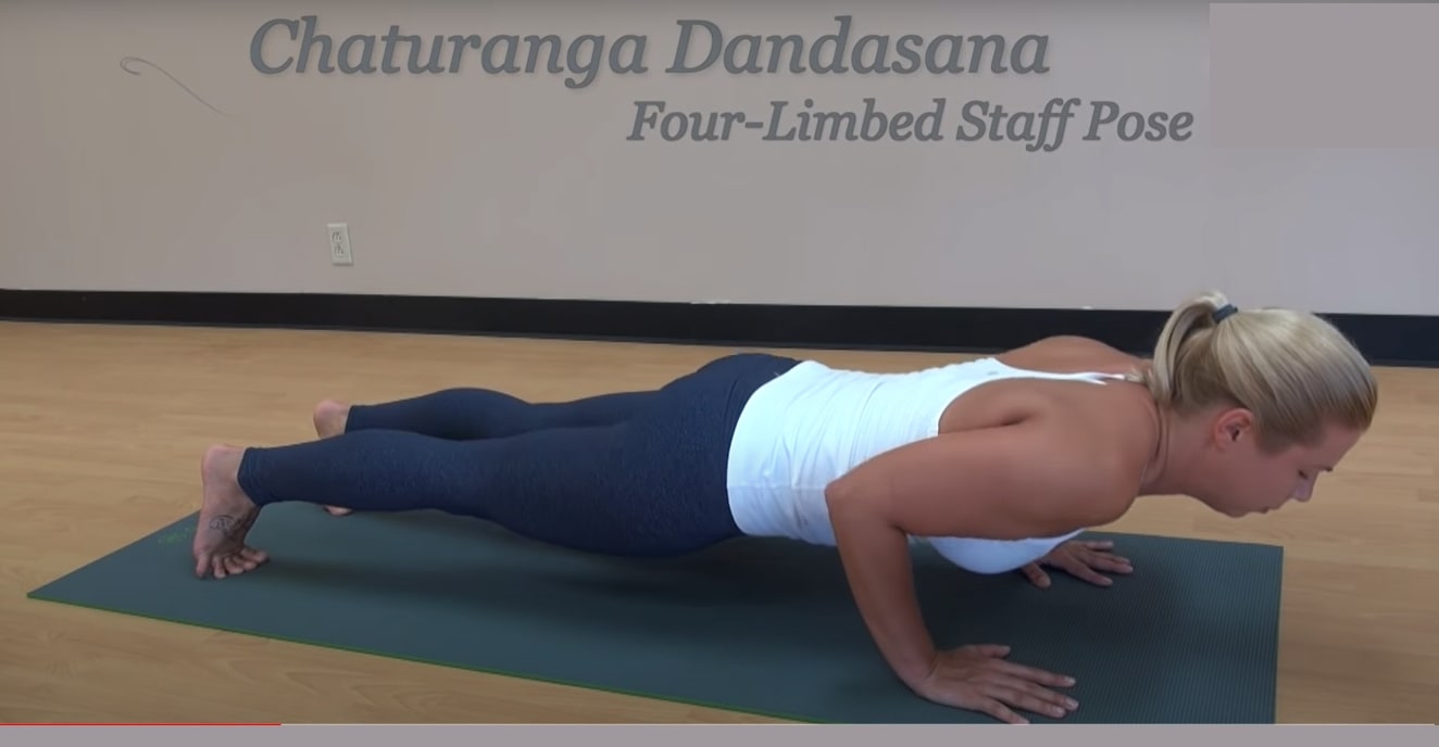 Chaturanga Dandasana Yoga (Four-Limbed Staff Pose)